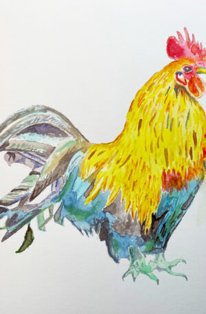 Watercolor paining of a rooster