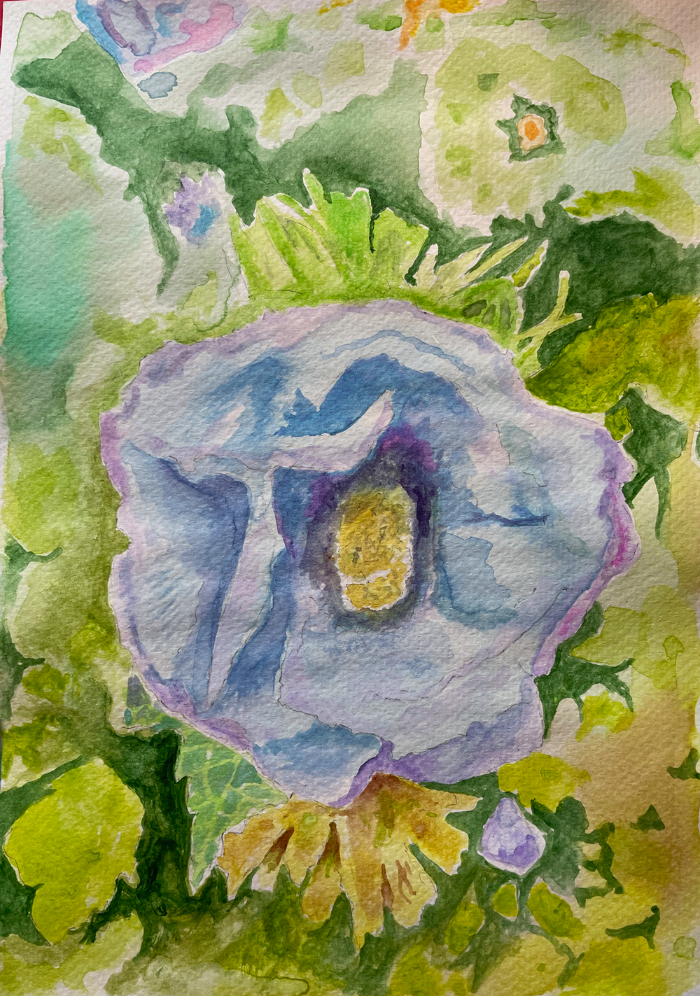 Violet blue flower